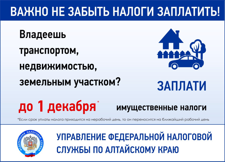 Федеральная налоговая служба информирует. Федеральная налоговая служба информирует.